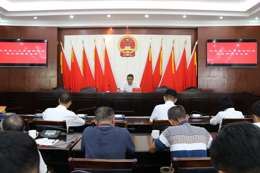 凤庆县人大常委会机关党支部召开“七一”党员大会
