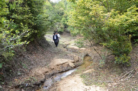 DSC_4725_看图王.jpg