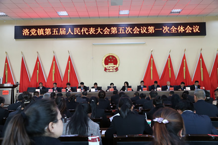 洛党.jpg