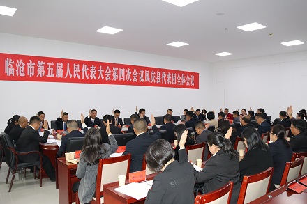 代表团第二次全体会议01.JPG