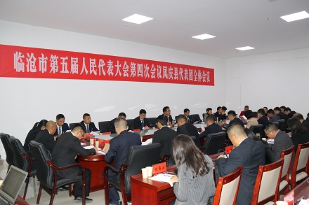 代表团第二次全体会议02.JPG