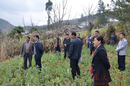 凤庆县人大常委会主任肖天瑞调研小湾镇移民工作提出四点要求